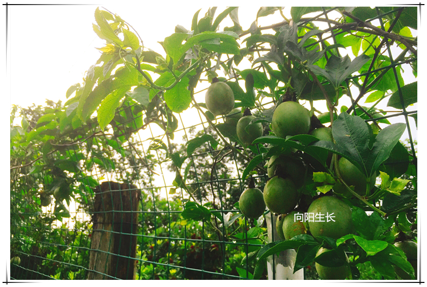 20190531101000 J9国际集团(中国)-官方网站